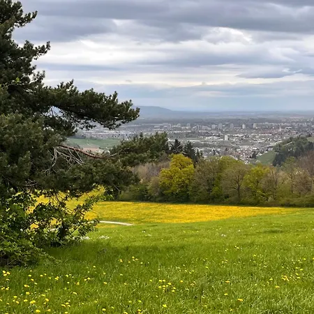Apartamento Panorama Horben