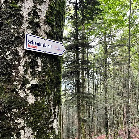 Panorama Horben