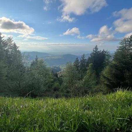 Panorama *