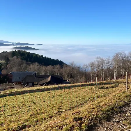 Panorama *